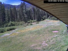 view from Stadium.Cam on 2026-07-14