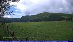 view from Webcam Cansiglio - verso la piana dei "Bech" on 2025-05-09