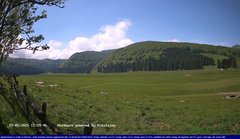 view from Webcam Cansiglio - verso la piana dei "Bech" on 2025-05-19