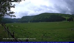 view from Webcam Cansiglio - verso la piana dei "Bech" on 2025-05-24