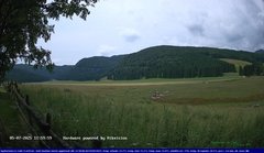 view from Webcam Cansiglio - verso la piana dei "Bech" on 2025-07-05