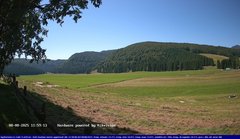 view from Webcam Cansiglio - verso la piana dei "Bech" on 2025-08-08