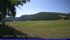 view from Webcam Cansiglio - verso la piana dei "Bech" on 2025-08-15
