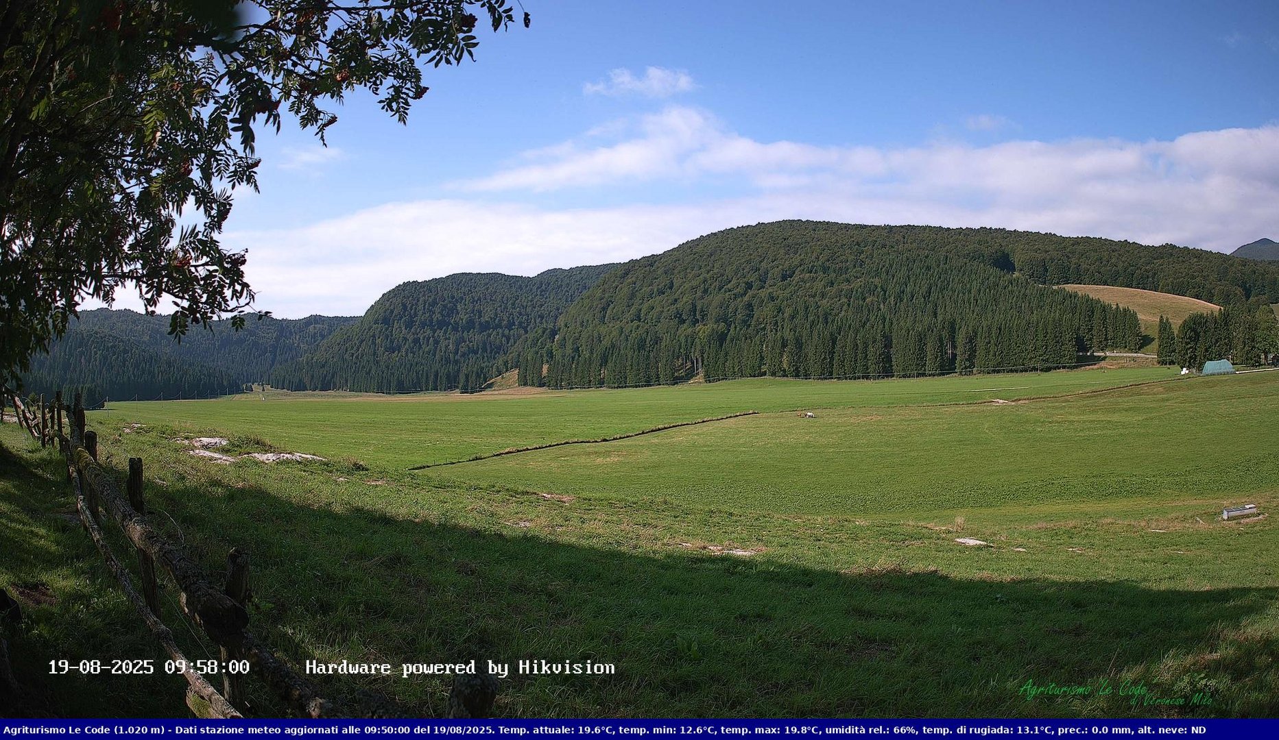 time-lapse frame, Webcam Cansiglio - verso la piana dei "Bech" webcam
