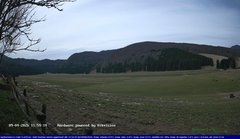 view from Webcam Cansiglio - verso la piana dei "Bech" on 2026-04-09