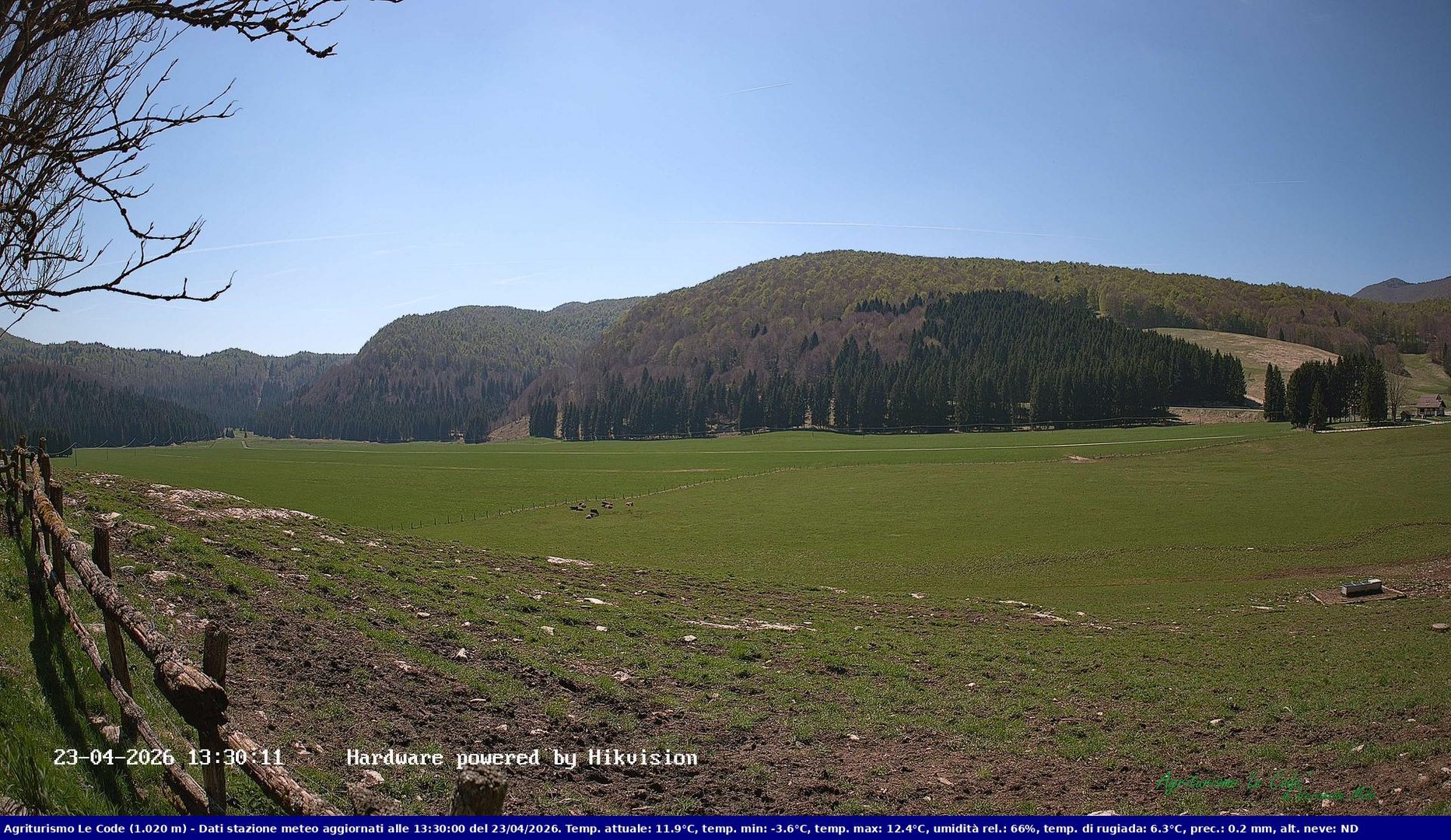 time-lapse frame, Webcam Cansiglio - verso la piana dei "Bech" webcam