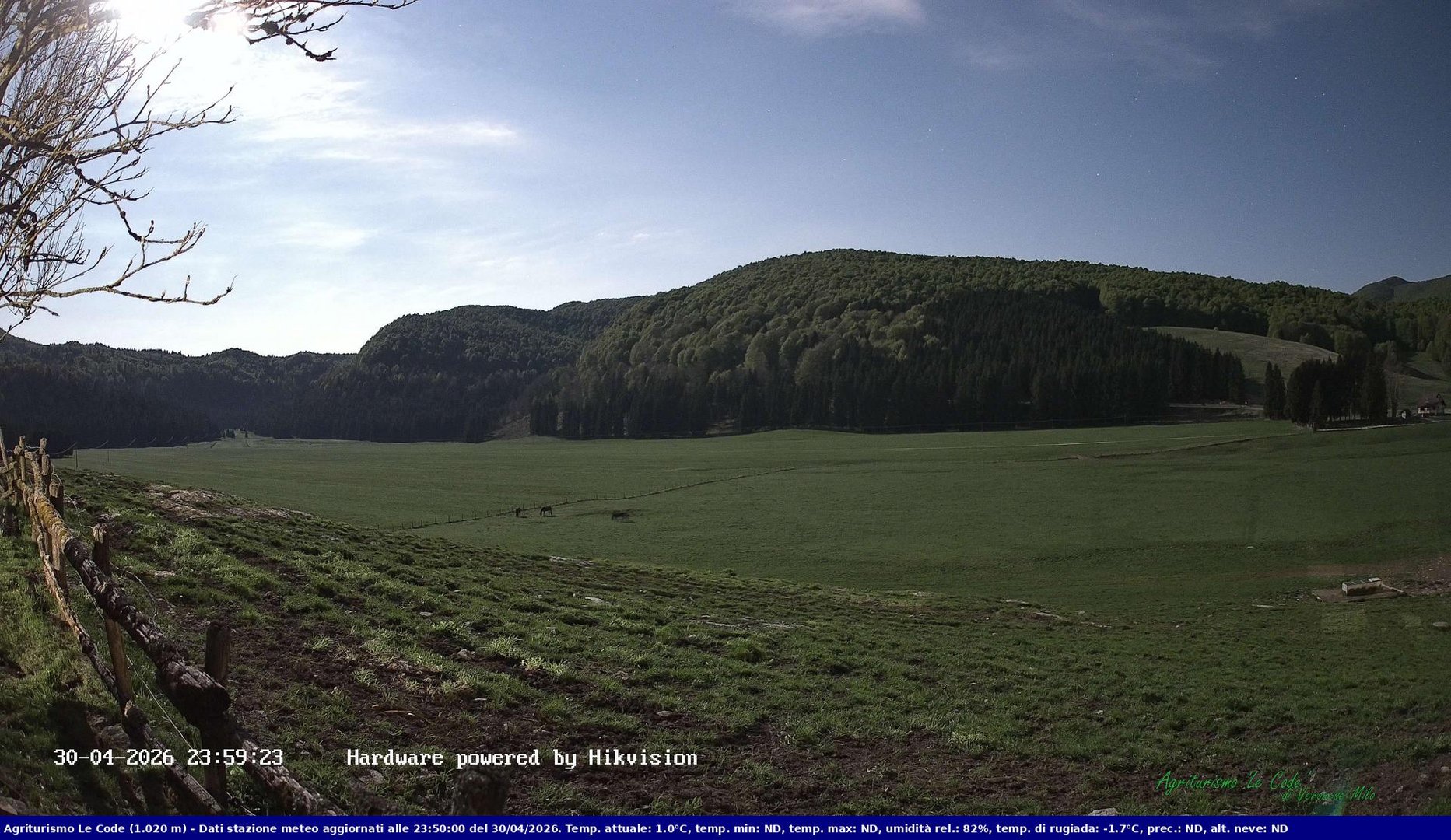 time-lapse frame, Webcam Cansiglio - verso la piana dei "Bech" webcam