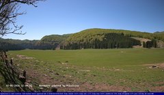 view from Webcam Cansiglio - verso la piana dei "Bech" on 2026-05-02