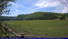 view from Webcam Cansiglio - verso la piana dei "Bech" on 2026-05-18