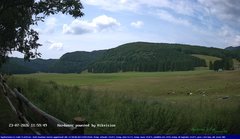 view from Webcam Cansiglio - verso la piana dei "Bech" on 2026-07-23