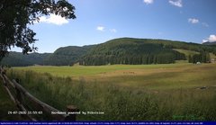 view from Webcam Cansiglio - verso la piana dei "Bech" on 2026-07-24
