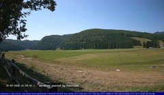 view from Webcam Cansiglio - verso la piana dei "Bech" on 2026-07-31