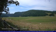 view from Webcam Cansiglio - verso la piana dei "Bech" on 2026-08-07