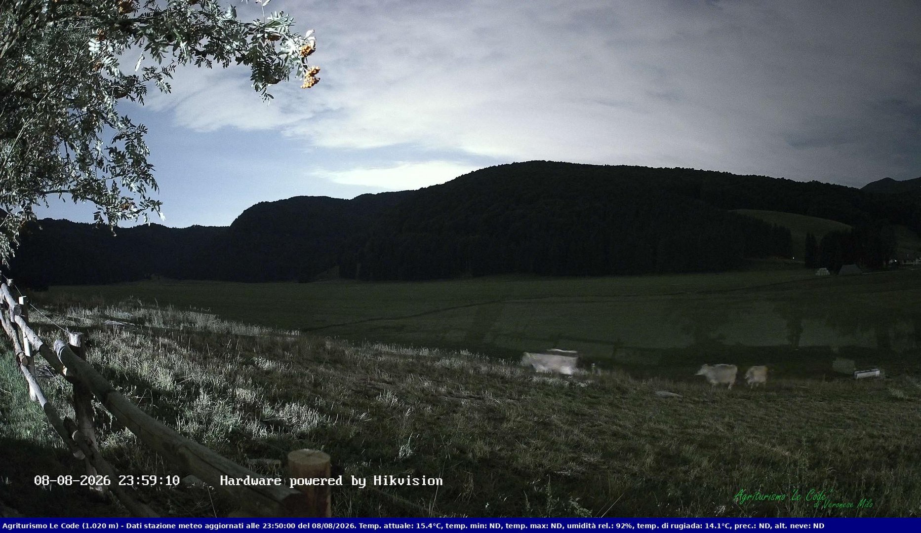 time-lapse frame, Webcam Cansiglio - verso la piana dei "Bech" webcam