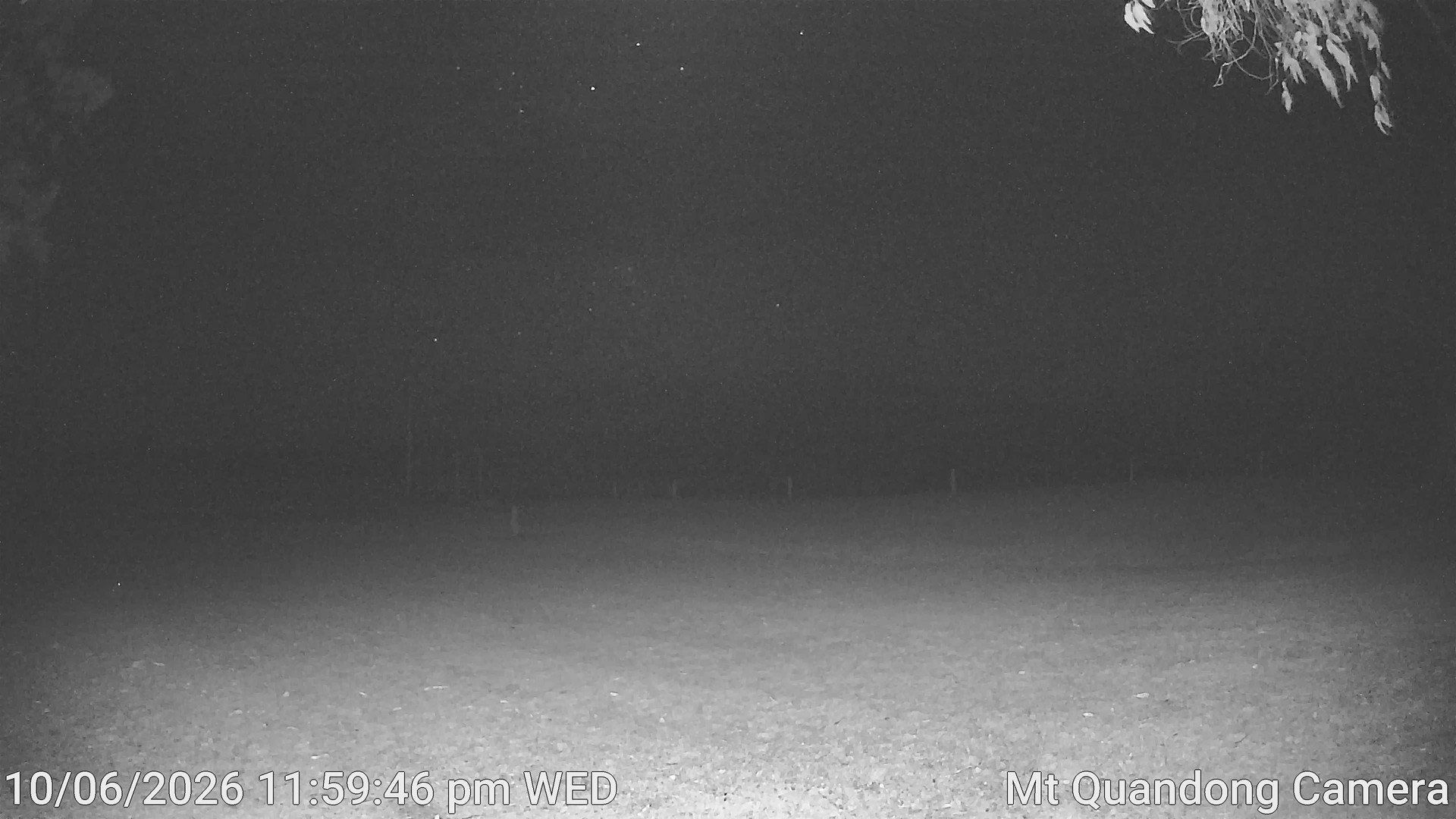 time-lapse frame, Mt Quandong Camera webcam