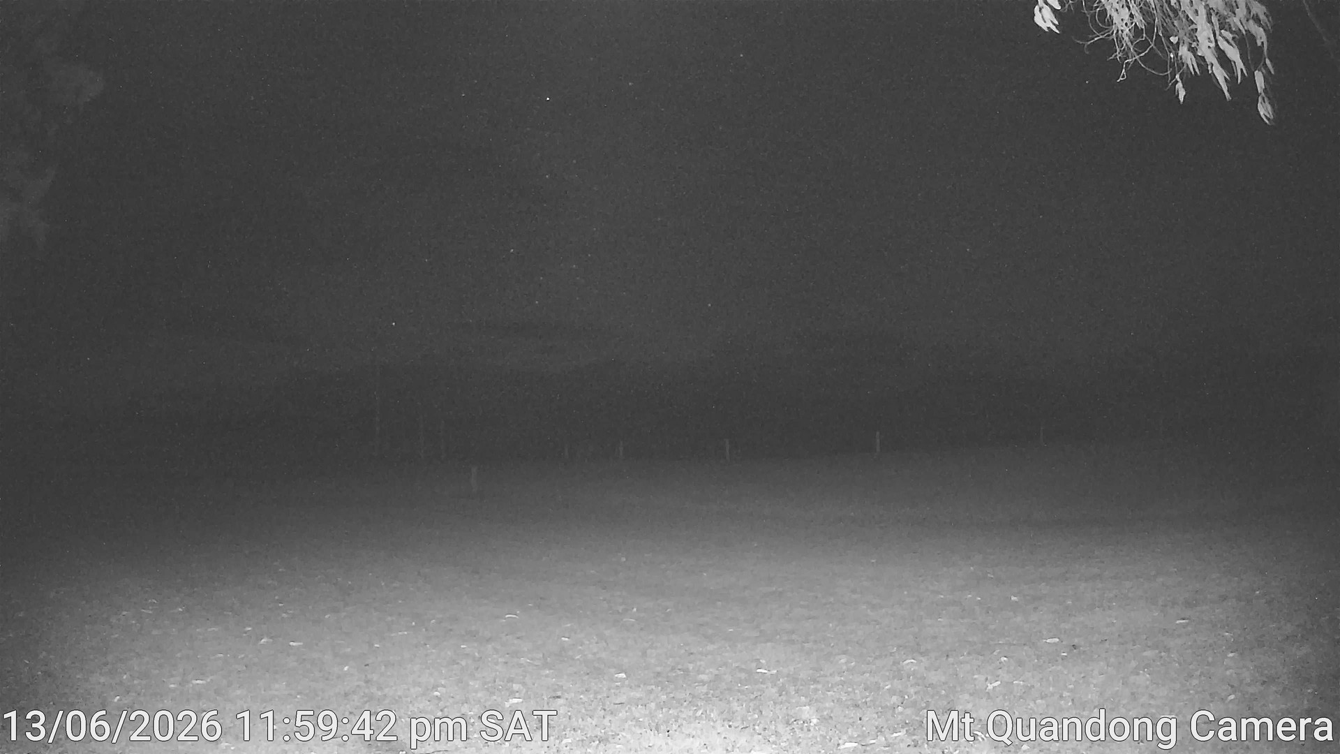 time-lapse frame, Mt Quandong Camera webcam
