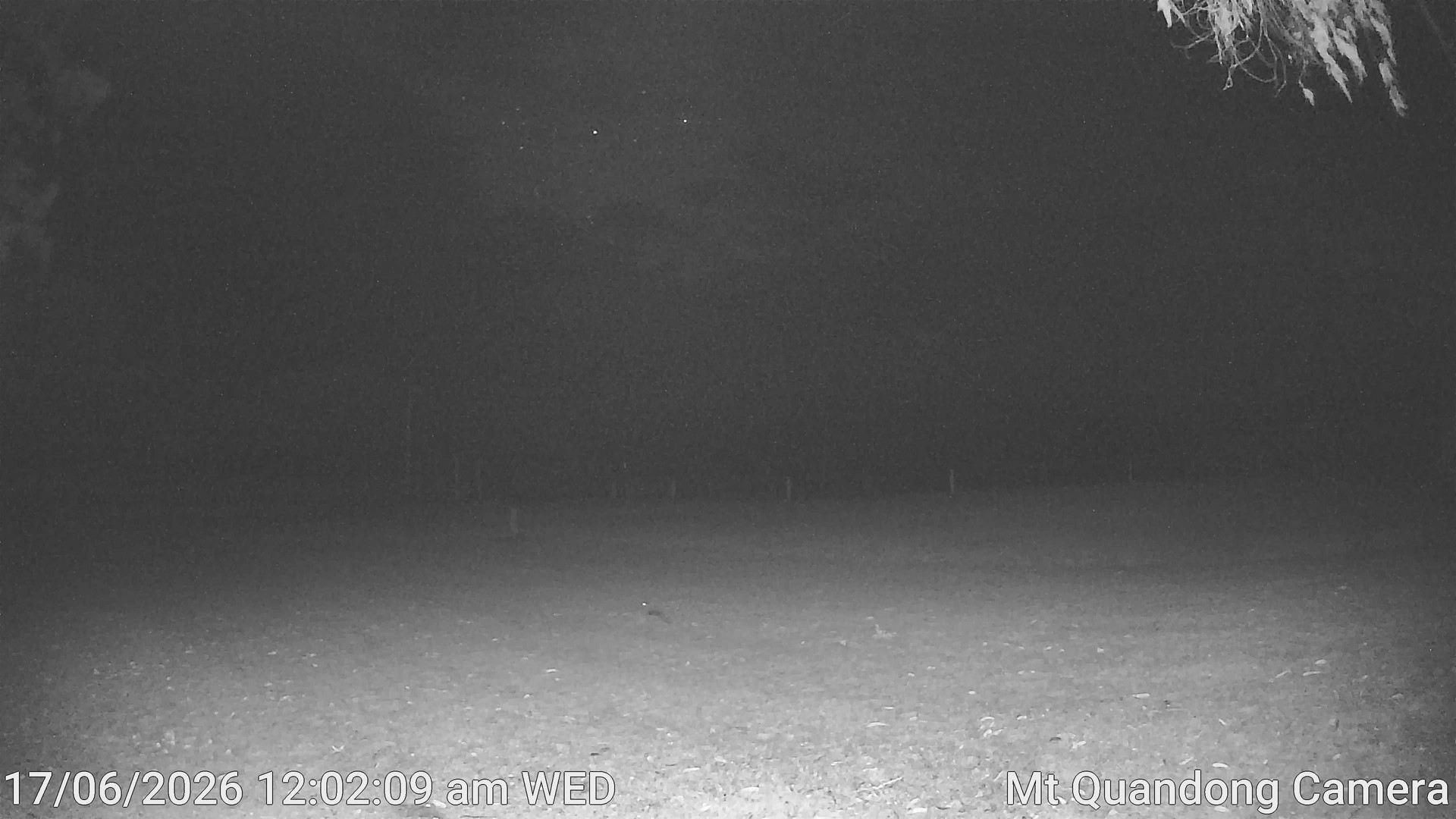 time-lapse frame, Mt Quandong Camera webcam