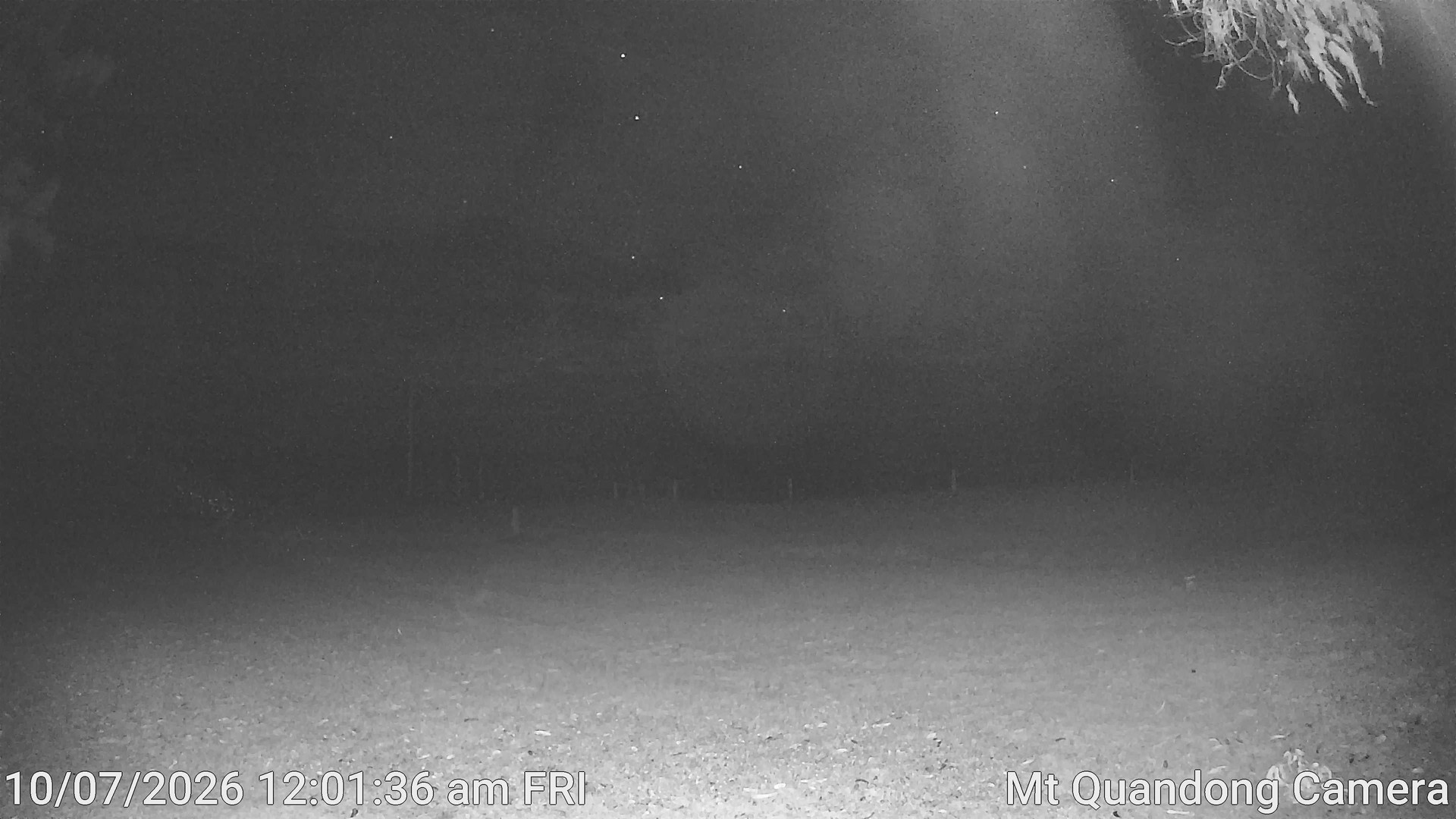 time-lapse frame, Mt Quandong Camera webcam