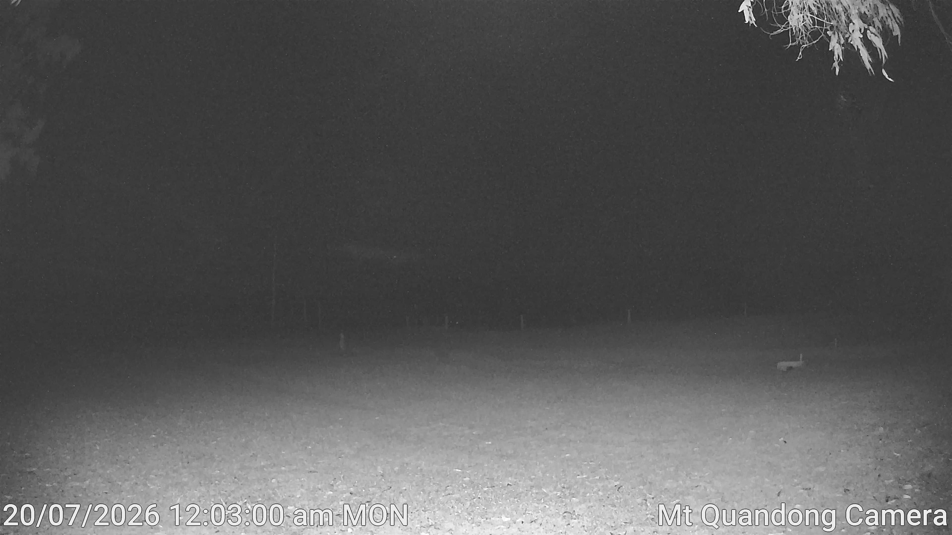 time-lapse frame, Mt Quandong Camera webcam