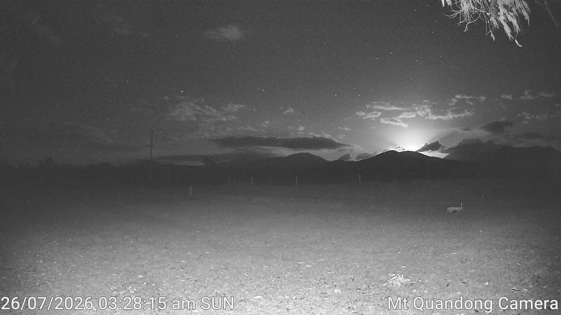 time-lapse frame, Mt Quandong Camera webcam