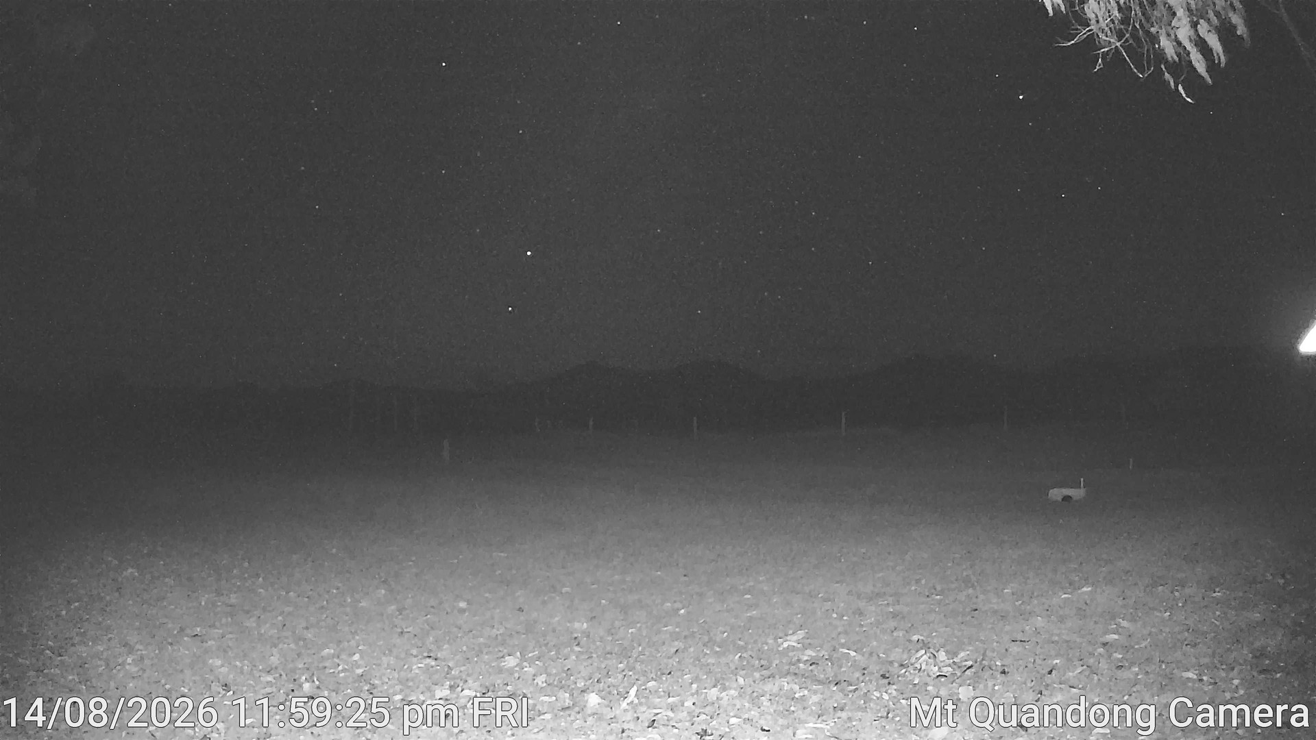 time-lapse frame, Mt Quandong Camera webcam