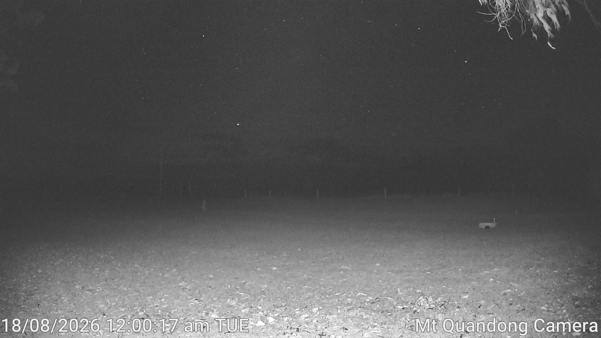 time-lapse frame, Mt Quandong Camera webcam