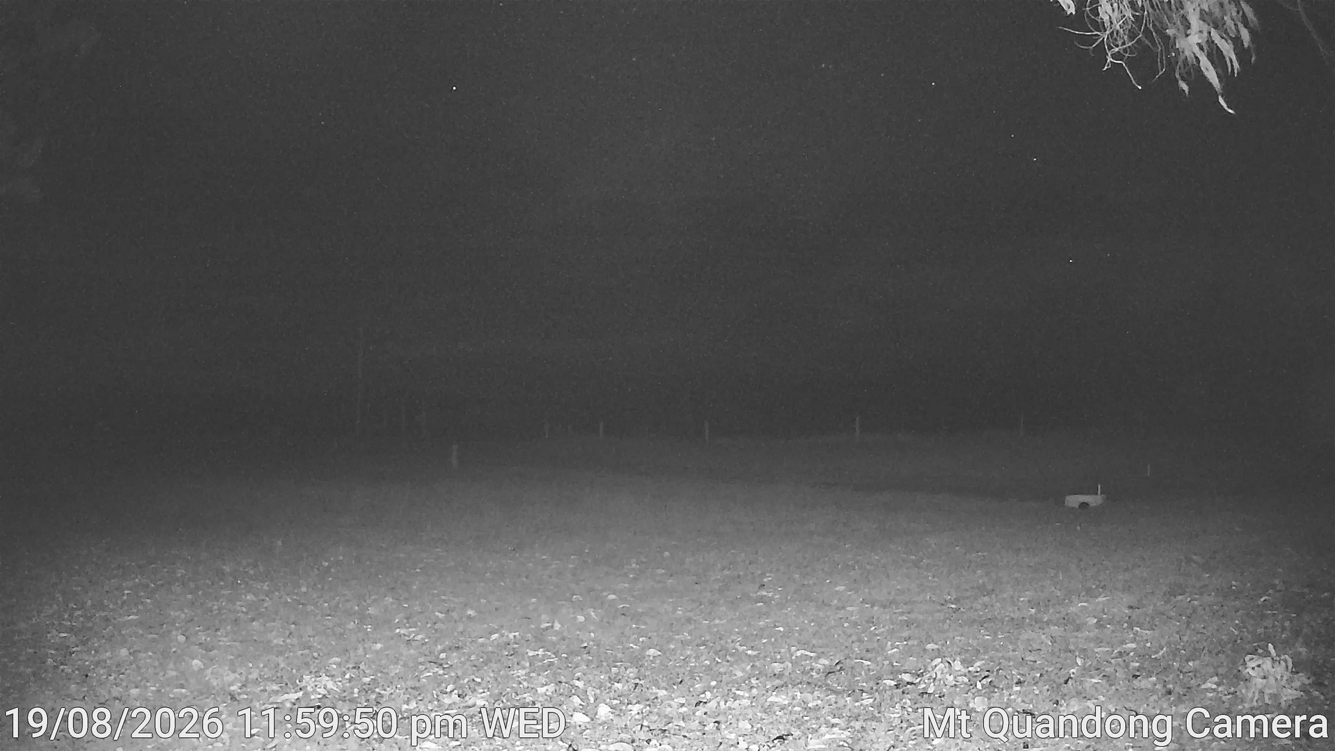 time-lapse frame, Mt Quandong Camera webcam