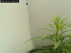 view from Weather Cam on 2025-06-23