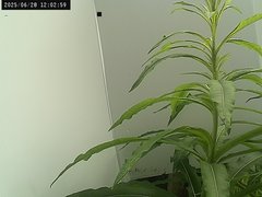 view from Weather Cam on 2025-06-28