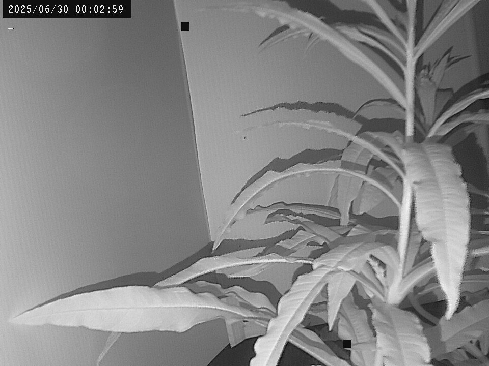 time-lapse frame, Weather Cam webcam