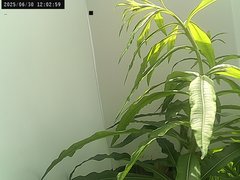 view from Weather Cam on 2025-06-30