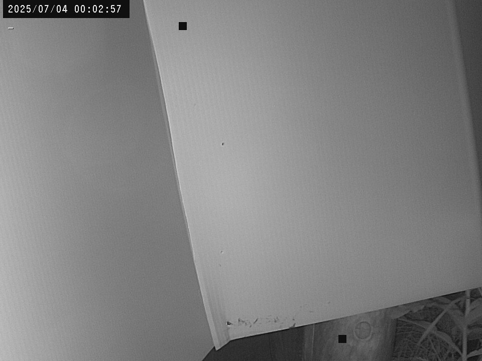time-lapse frame, Weather Cam webcam