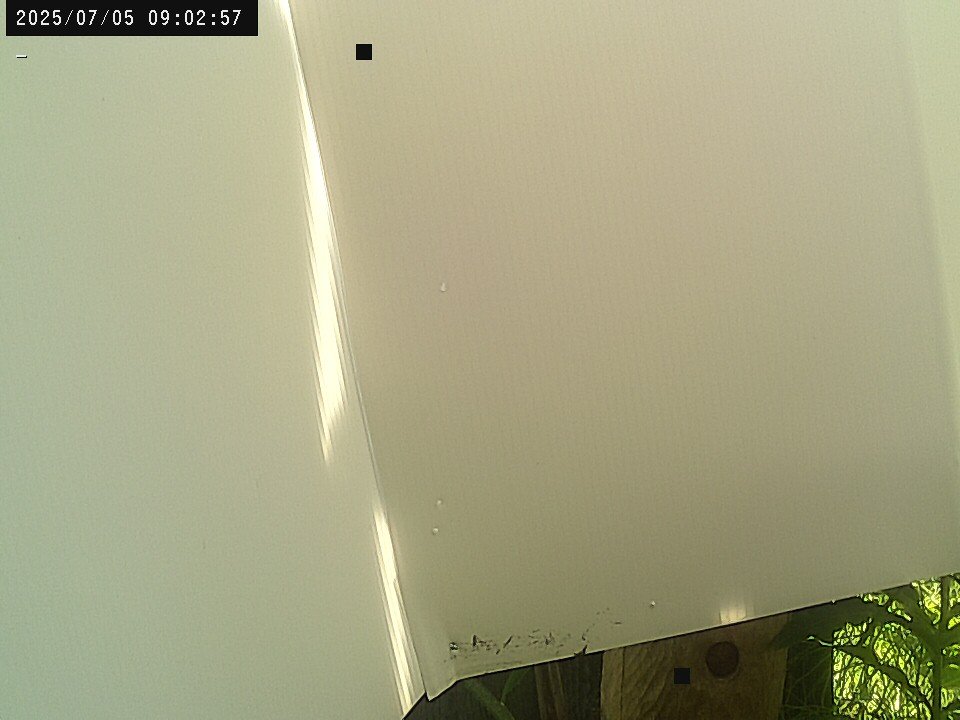 time-lapse frame, Weather Cam webcam