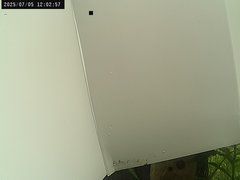 view from Weather Cam on 2025-07-05