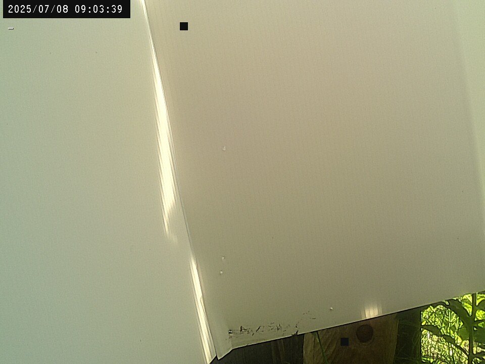 time-lapse frame, Weather Cam webcam