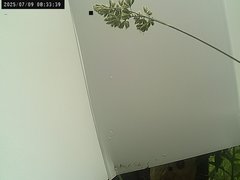 view from Weather Cam on 2025-07-09