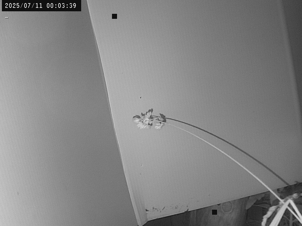 time-lapse frame, Weather Cam webcam