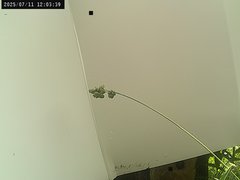 view from Weather Cam on 2025-07-11