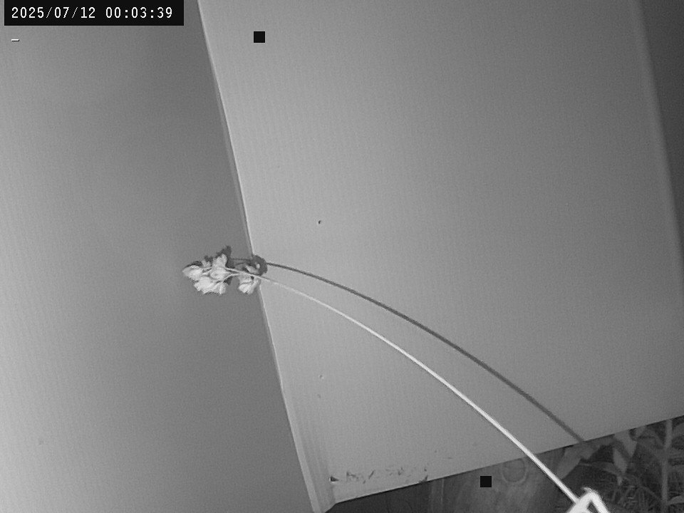 time-lapse frame, Weather Cam webcam
