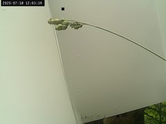 view from Weather Cam on 2025-07-18