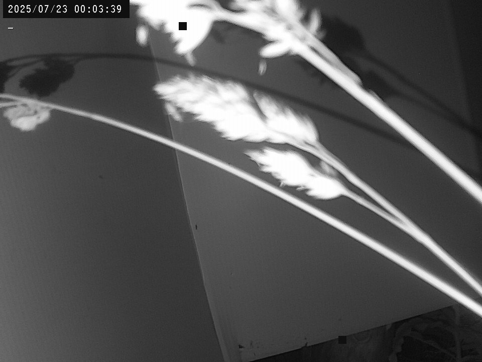 time-lapse frame, Weather Cam webcam