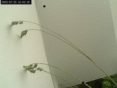 view from Weather Cam on 2025-07-25