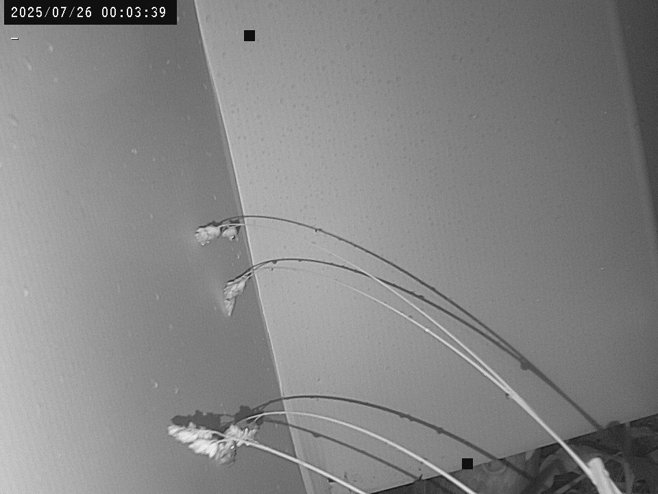 time-lapse frame, Weather Cam webcam