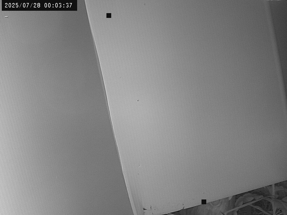 time-lapse frame, Weather Cam webcam