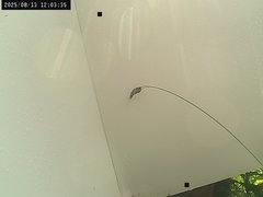 view from Weather Cam on 2025-08-13