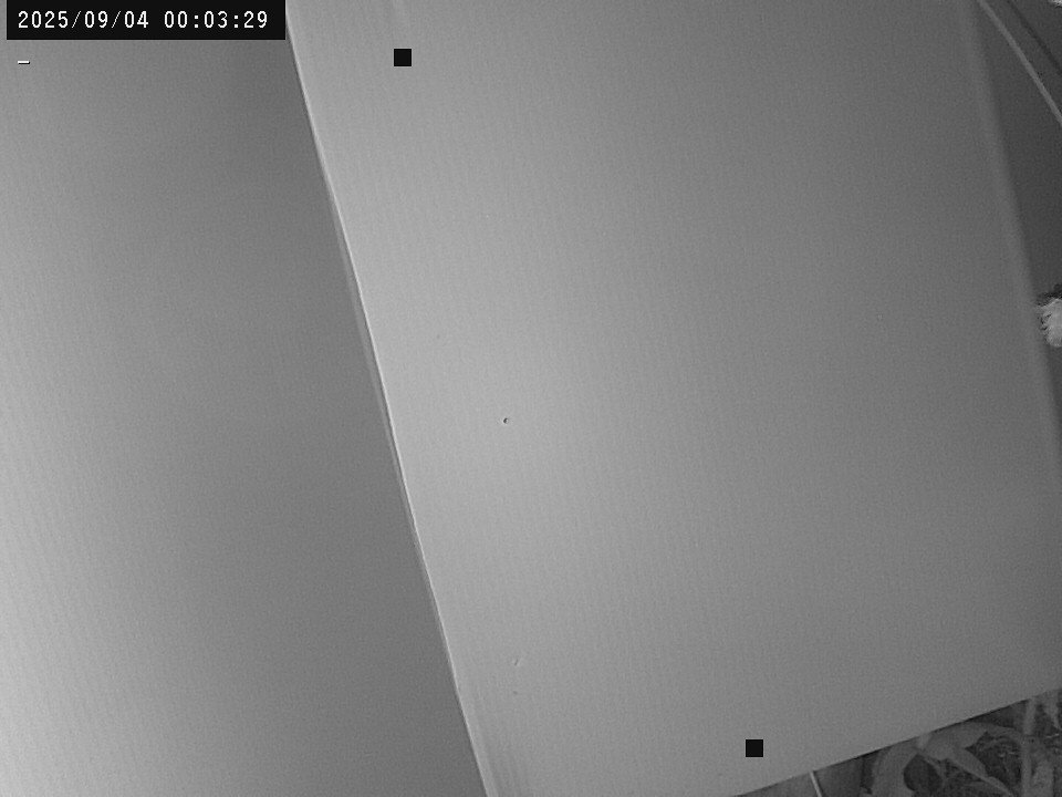 time-lapse frame, Weather Cam webcam