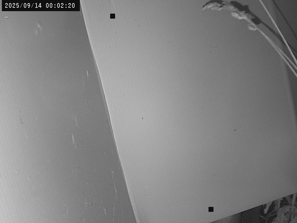 time-lapse frame, Weather Cam webcam