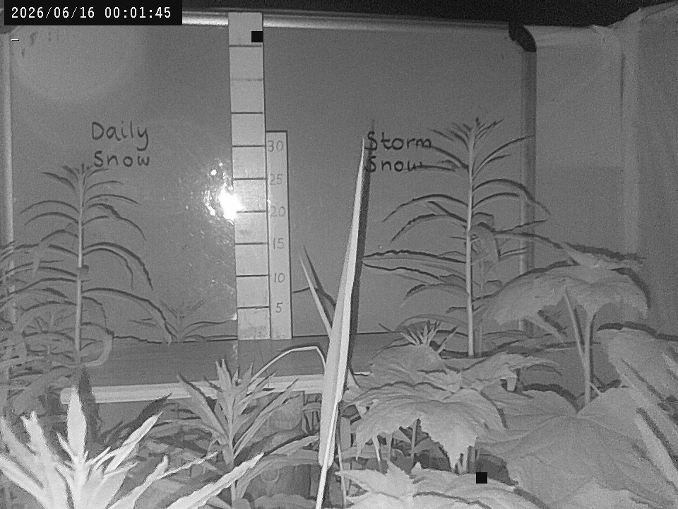 time-lapse frame, Weather Cam webcam