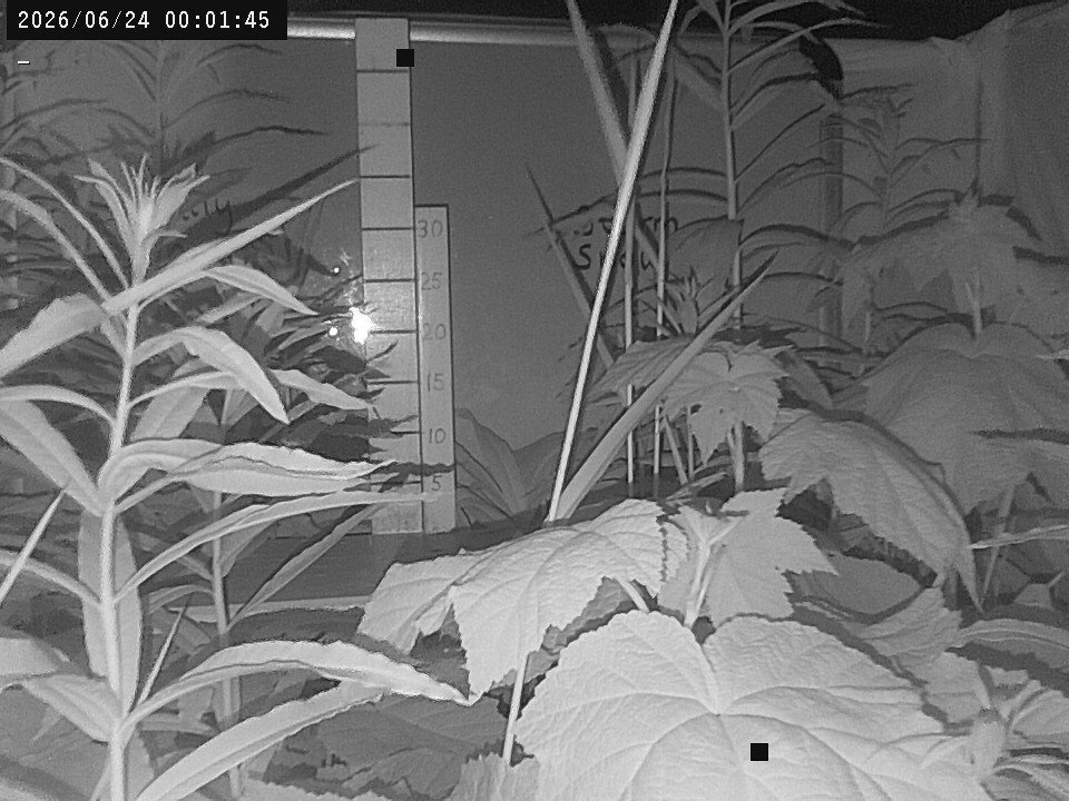 time-lapse frame, Weather Cam webcam