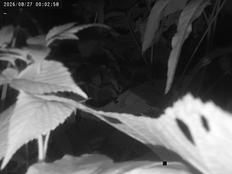 time-lapse frame, Weather Cam webcam